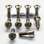 Titanium Disc Bolt Pack - 10